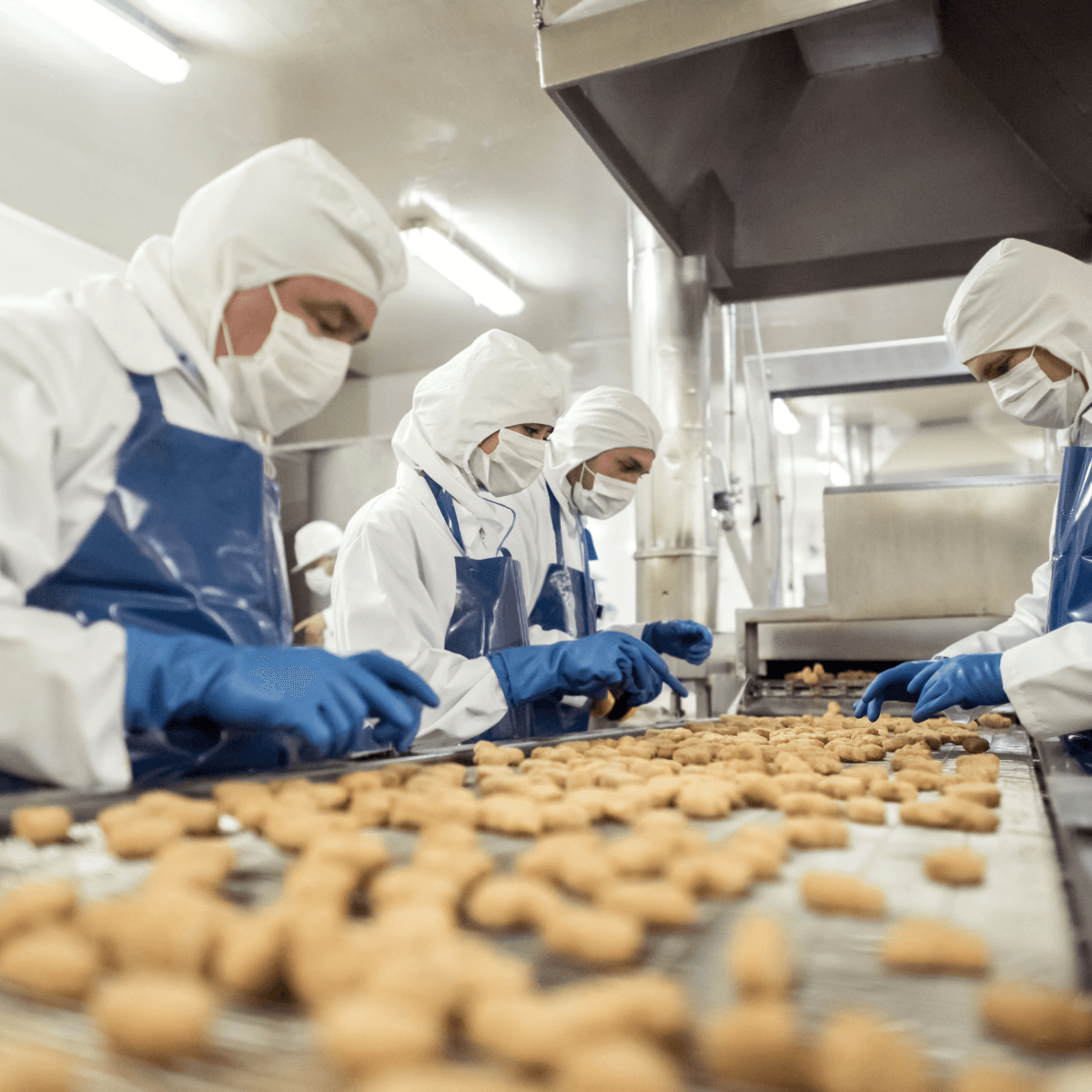 Food Standards - Platinum Employment Food Standards shown with factory workers packing biscuits